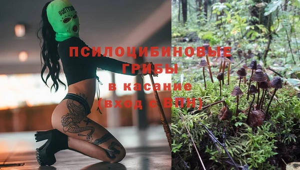 МДМА Горняк