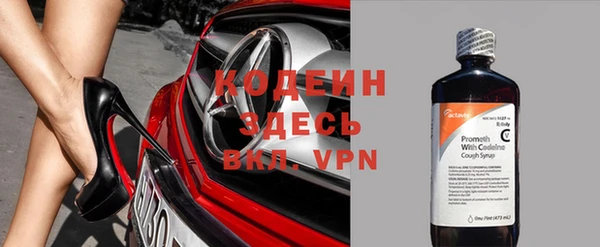 круглые Гусев