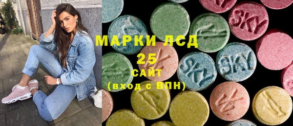 круглые Гусев