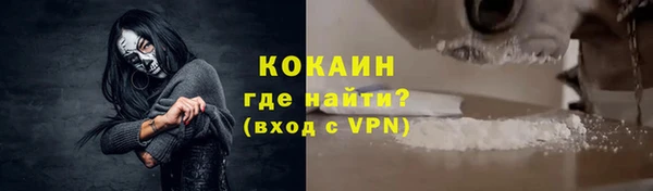 круглые Гусев