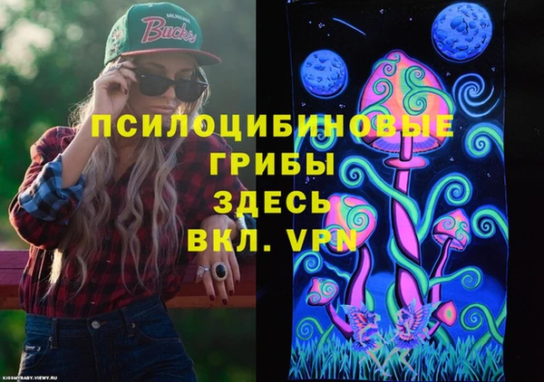 стафф Гусь-Хрустальный