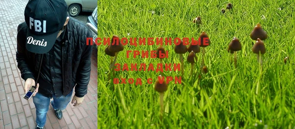 круглые Гусев