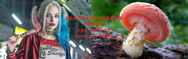 МДМА Горняк