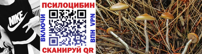 Галлюциногенные грибы мицелий Кашира