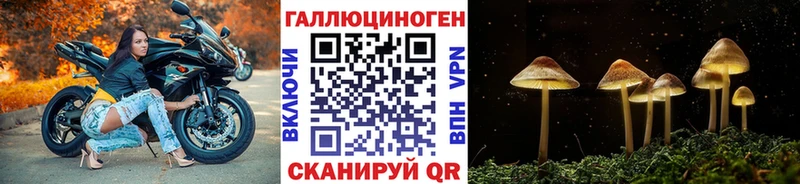 Галлюциногенные грибы Cubensis  Купить закладки  Кашира 